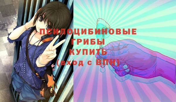 метадон Арсеньев
